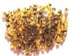 100 4mm Transparent Topaz Tortoise Round Glass Beads